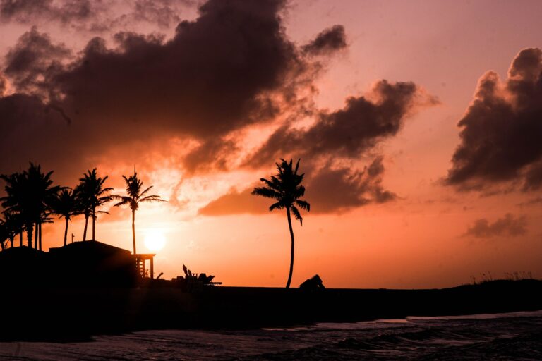 Creating the Rest of Your Life: 10 Passion Principles
