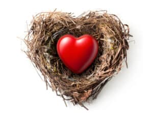 Red heart in the nest isolated on white background. Discover how to accept and love yourself