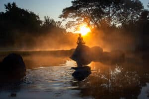 Silhouette of a beautiful Yoga woman in the morning at the hot spring park. ideas for self-improvement and seeking inner peace