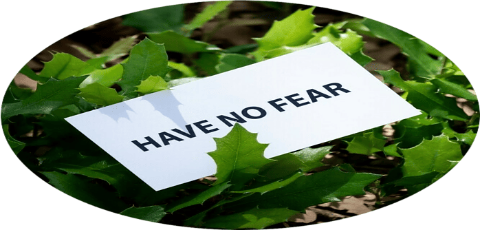 Have no fear note 