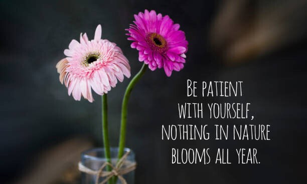 Quote: “Be patient with yourself. Nothing in nature blooms all year” on a calm nature background.